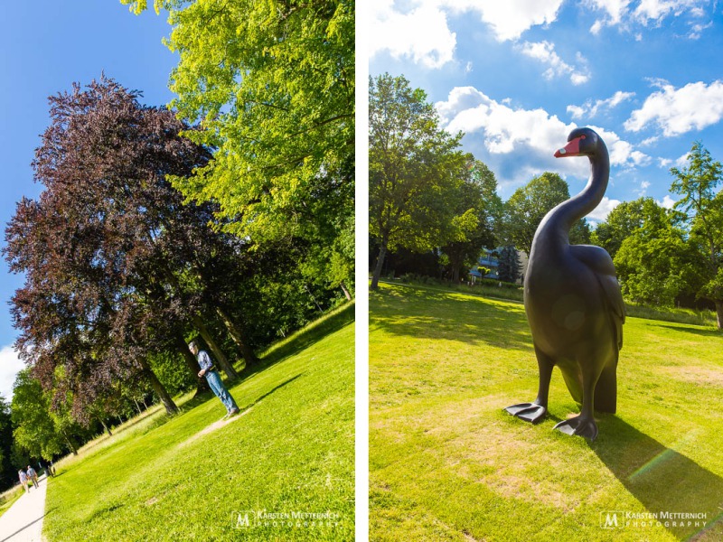 Italienischer Dauergast im Kurpark Bad Homburg